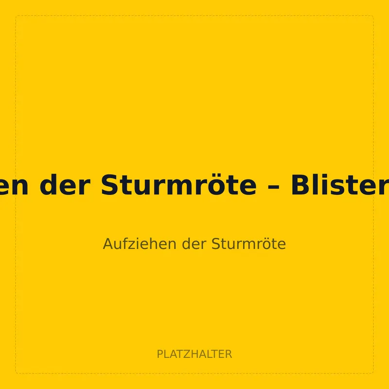 Aufziehen der Sturmröte – Blister Lucario