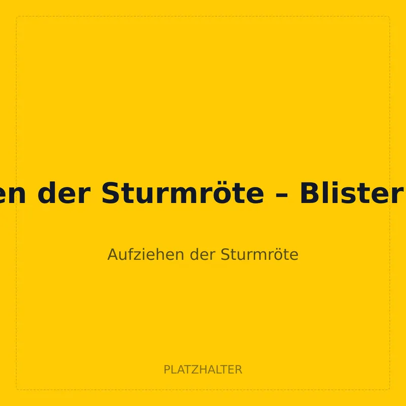 Aufziehen der Sturmröte – Blister Silvarro