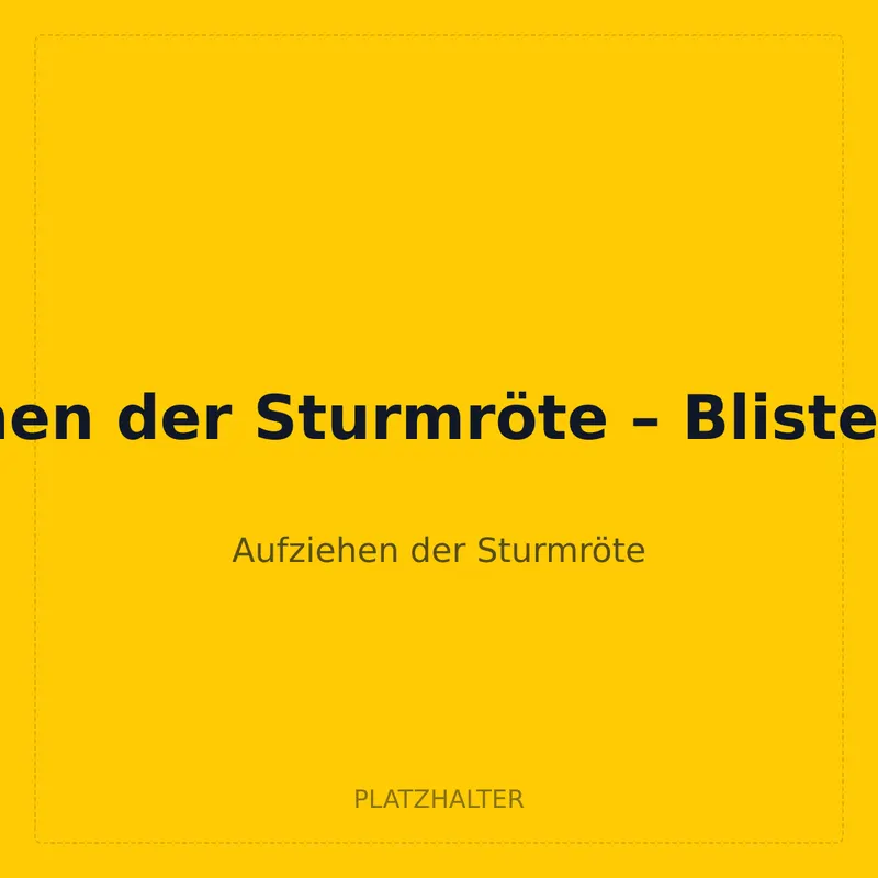 Aufziehen der Sturmröte – Blister Zufall