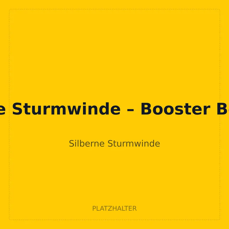 Silberne Sturmwinde – Booster Box Case