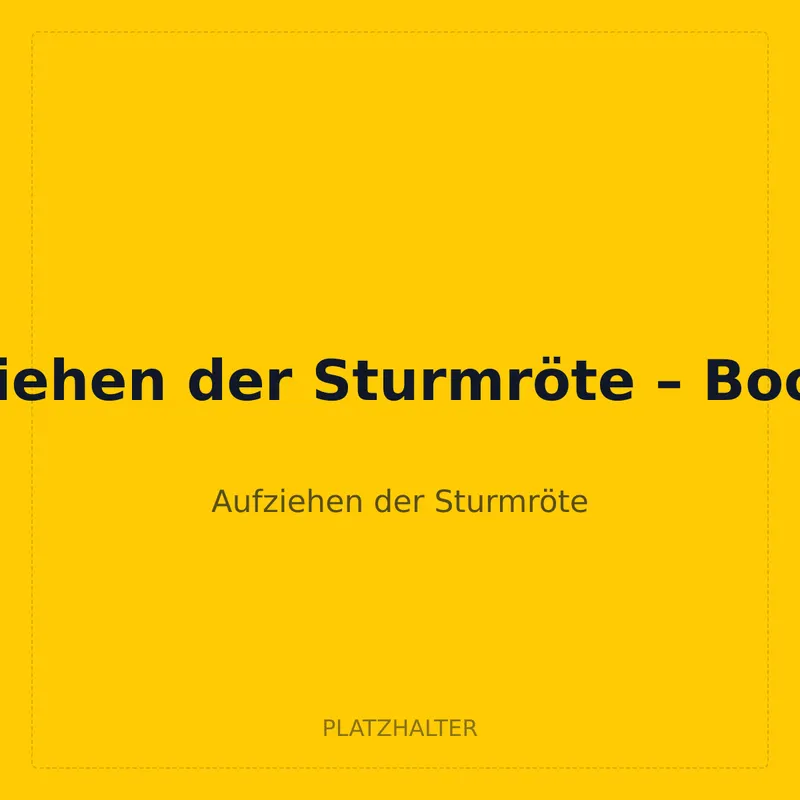 Aufziehen der Sturmröte – Booster