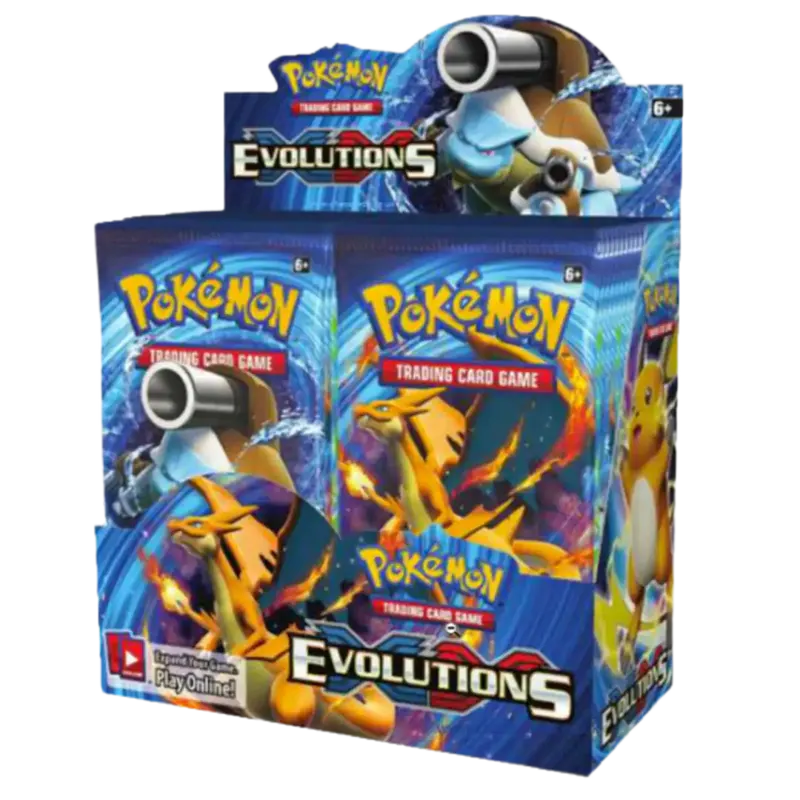 Evolution – Display