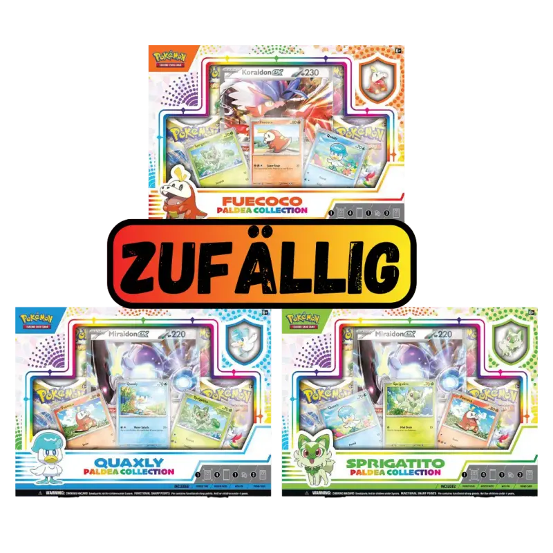 Paldea-Kollektion Zufall