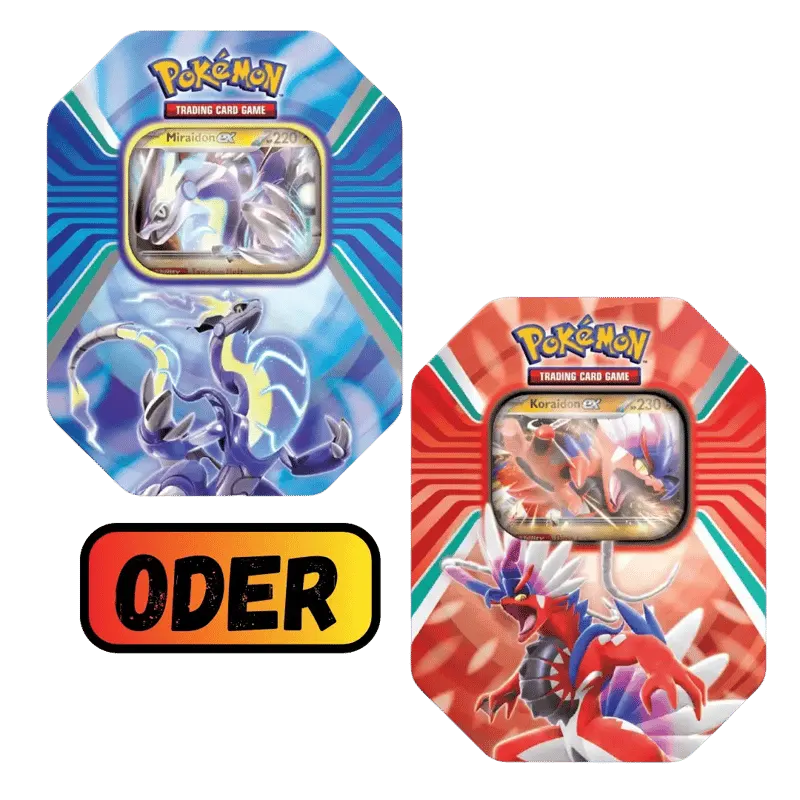 Paldea Legenden Tin Zufall
