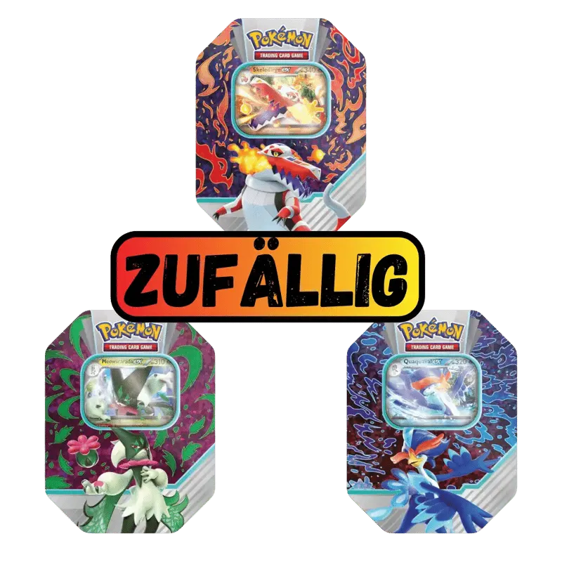 Paldea Partners Tin Box Zufall