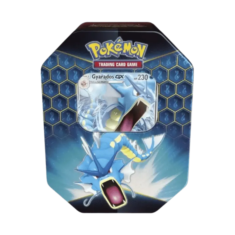 Verborgenes Schicksal – Tin Box Garados